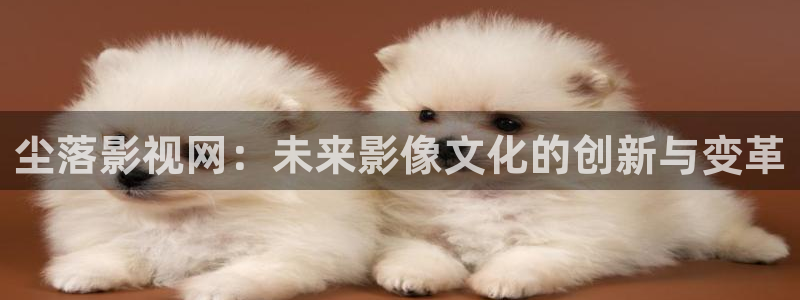 熊猫电影yy8y1免费：尘落影视网：未来影像文化的创新与变革