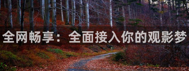 熊猫的价格：全网畅享：全面接入你的观影梦