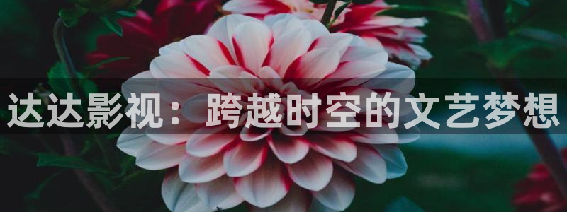 大熊猫影院：达达影视：跨越时空的文艺梦想