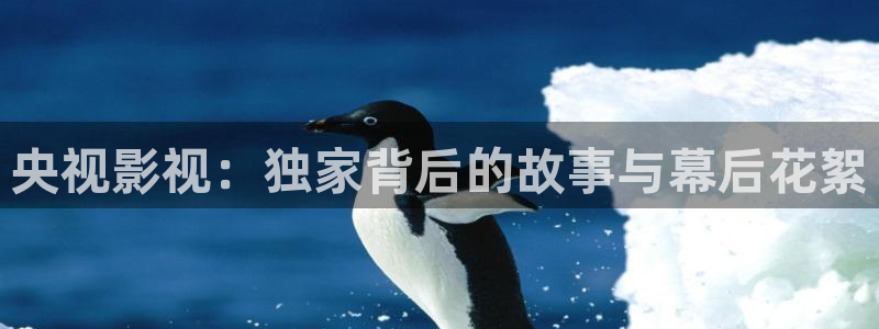 熊猫电影网站官网：央视影视：独家背后的故事与幕后花絮