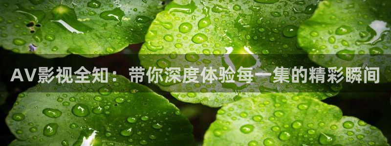 熊猫电影yy6y6：AV影视全知：带你深度体验每一集的精彩瞬间