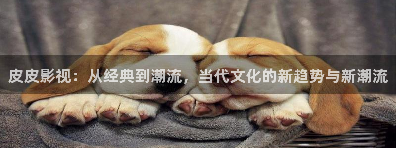 熊猫电视专卖：皮皮影视：从经典到潮流，当代文化的新趋势与新潮流