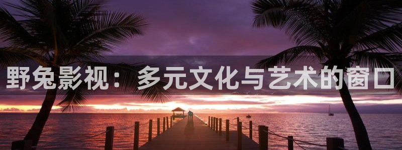 熊猫影院免费观看：野兔影视：多元文化与艺术的窗口
