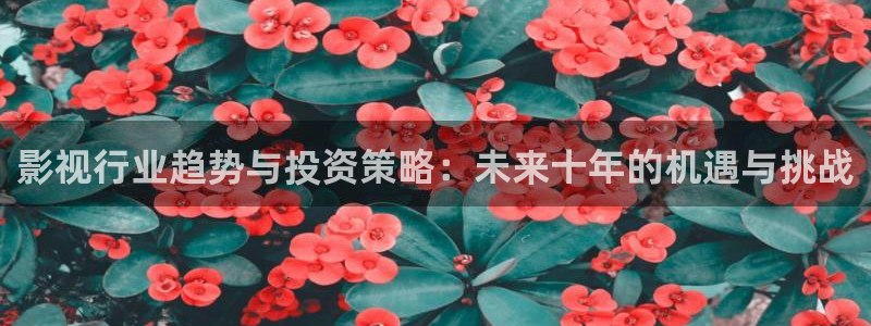 熊猫电影yy8y3免费观看高清：影视行业趋势与投资策略：未来十年的机遇与挑战