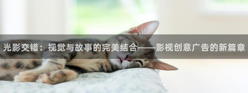 熊猫电影yy8y3()：光影交错：视觉与故事的完美结合——影视创意广告的新篇章