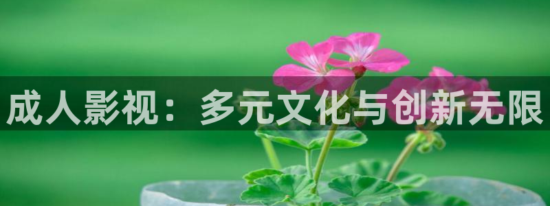 熊猫电影yy8y4：成人影视：多元文化与创新无限